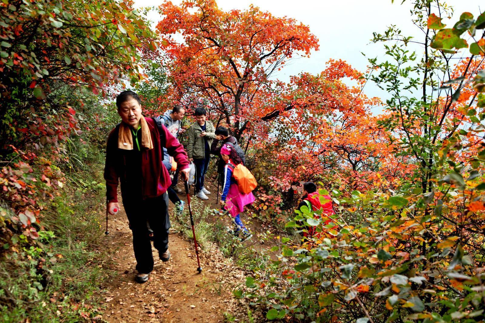 秦岭秋日登高赏景团建