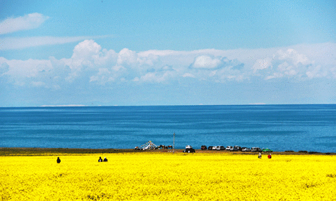 青海湖骑行旅游团建