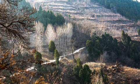 秦岭天子峪徒步登高团建