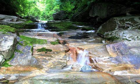 夏日避暑纳凉团建