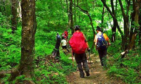 夏日避暑纳凉团建