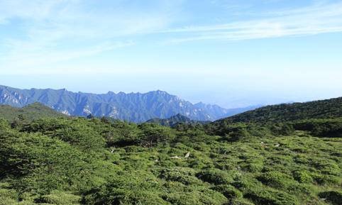 秦岭登高团建