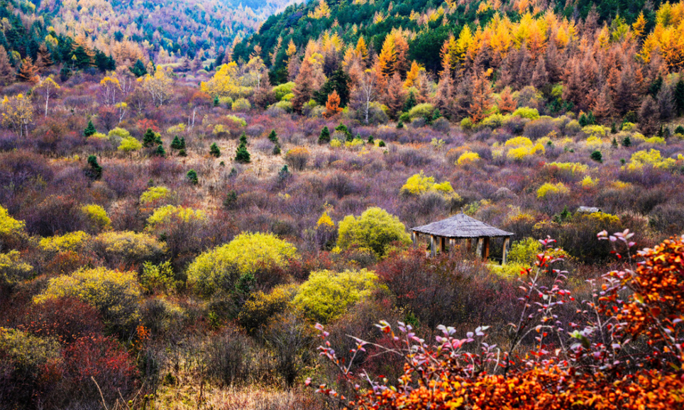 金秋赏红叶--黄柏塬团建