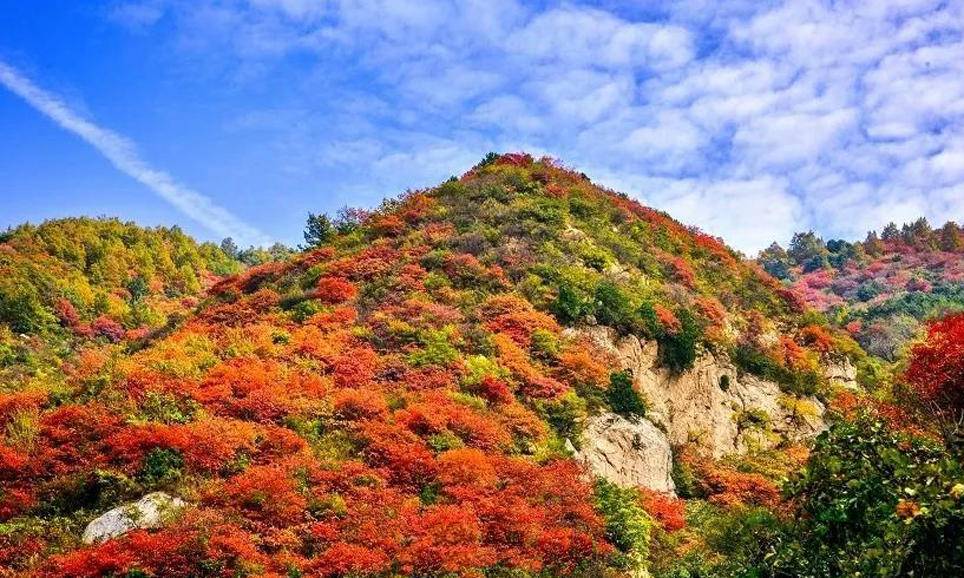 秦岭天子峪徒步登高团建