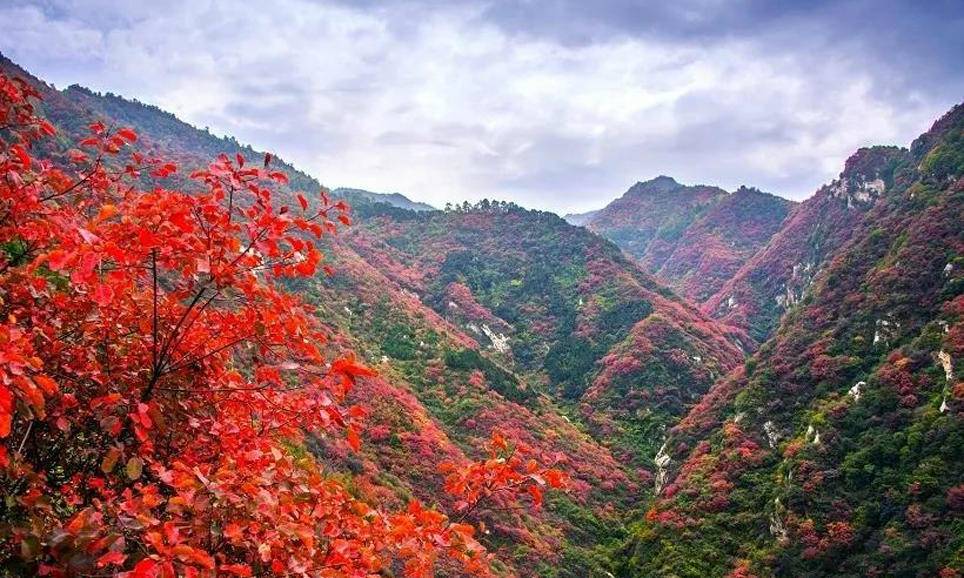 秦岭天子峪徒步登高团建