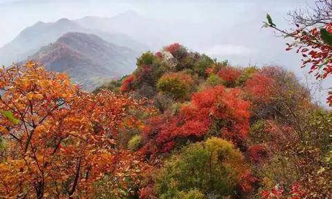 秦岭秋日登高赏景团建