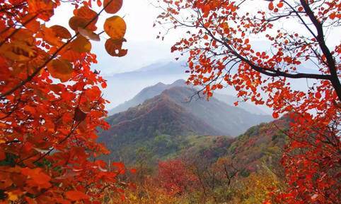 秦岭秋日登高赏景团建