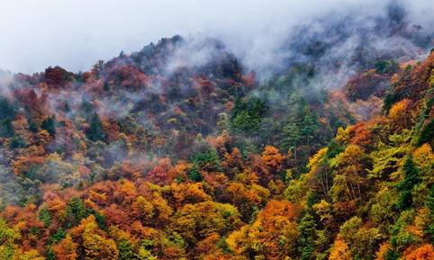 秦岭秋日登高赏景团建