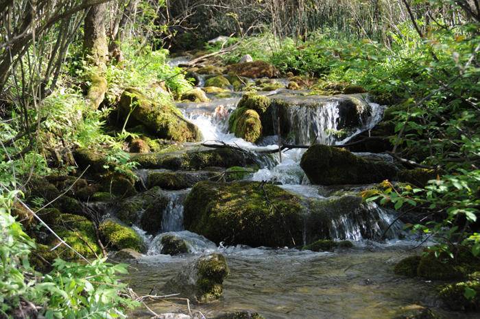 高山草甸户外休闲团建