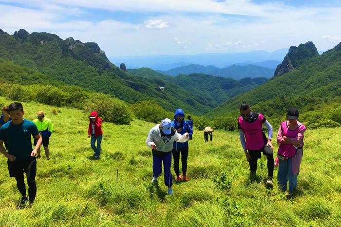 高山草甸户外休闲团建