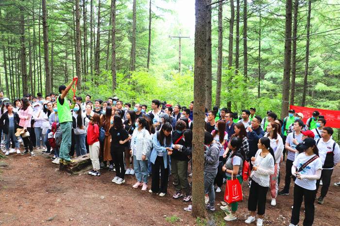 高山草甸户外休闲团建