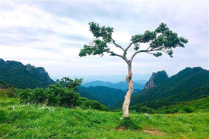 高山草甸户外休闲团建