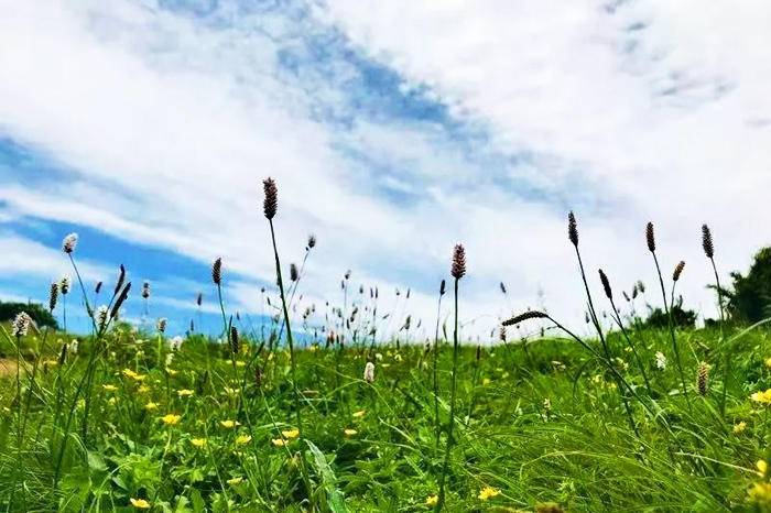 高山草甸户外休闲团建