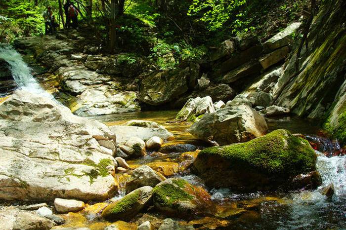 避暑纳凉，休闲烧烤团建