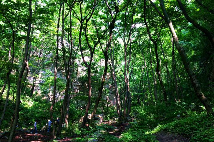 避暑纳凉，休闲烧烤团建