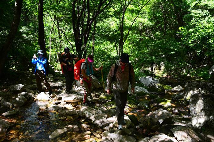 避暑纳凉，休闲烧烤团建