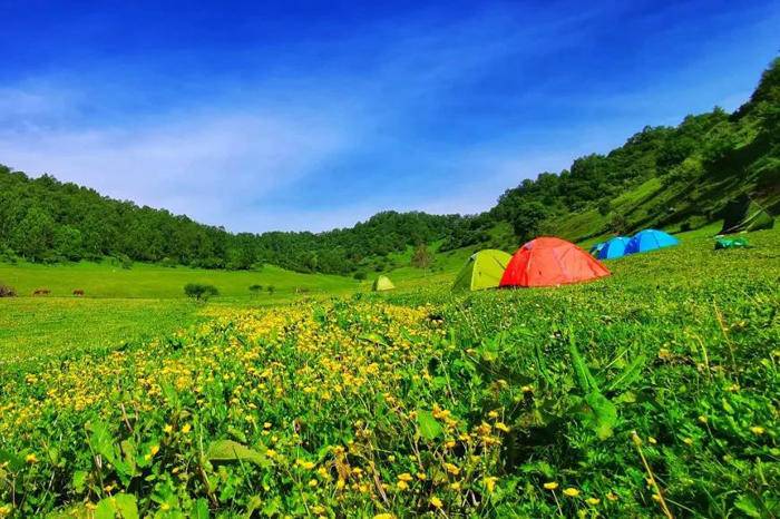 关山牧场-旅行团建