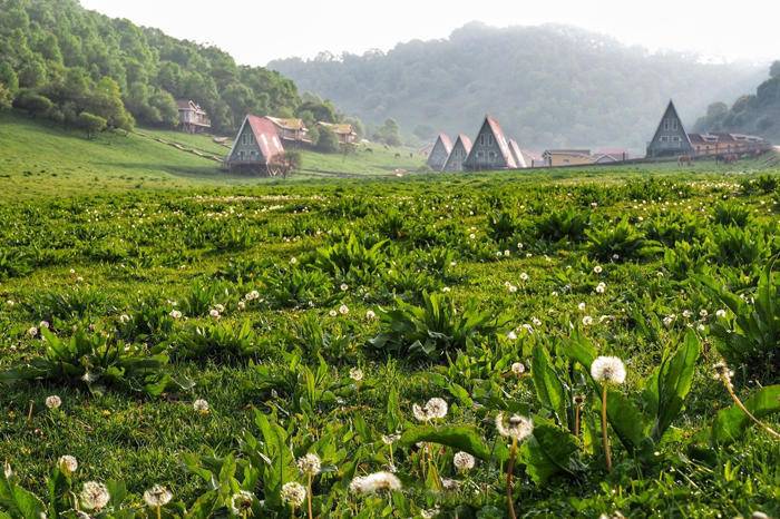 关山牧场-旅行团建