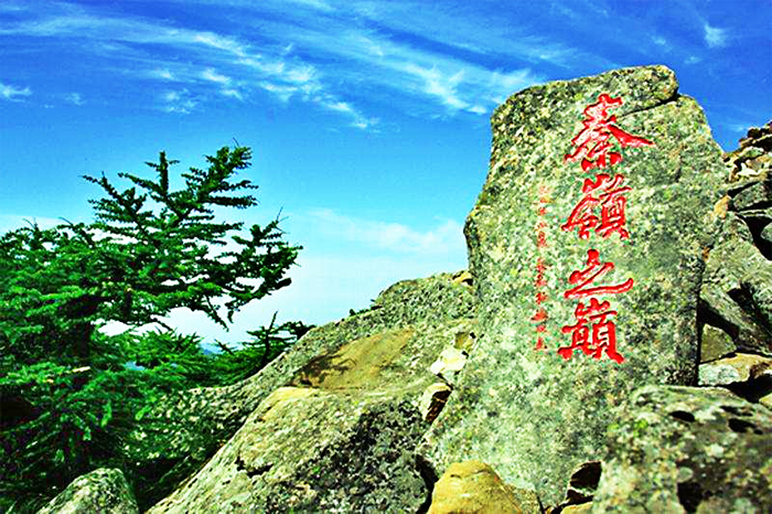 秦岭登高团建