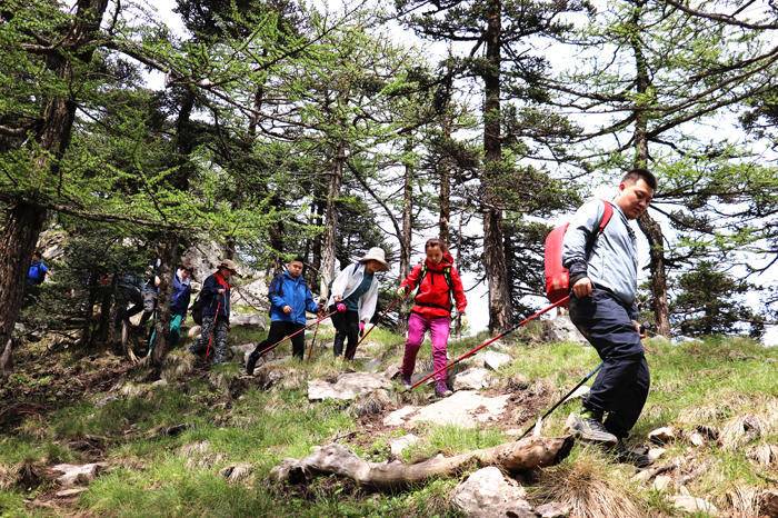 秦岭登高团建