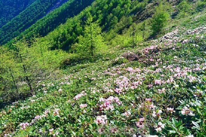 太白山-秦岭登高团建