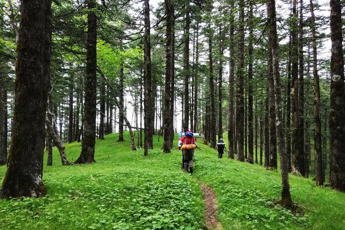 太白山-秦岭登高团建