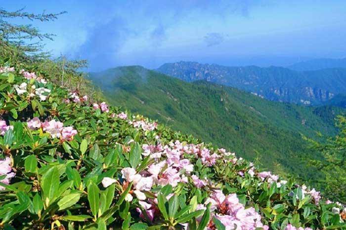 太白山-秦岭登高团建