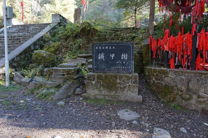 太白山-秦岭登高团建