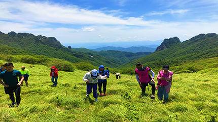 高山草甸一日徒步团建