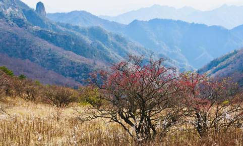 徒步登高--高山草甸徒步团建活动