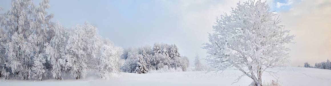 鳌山滑雪票